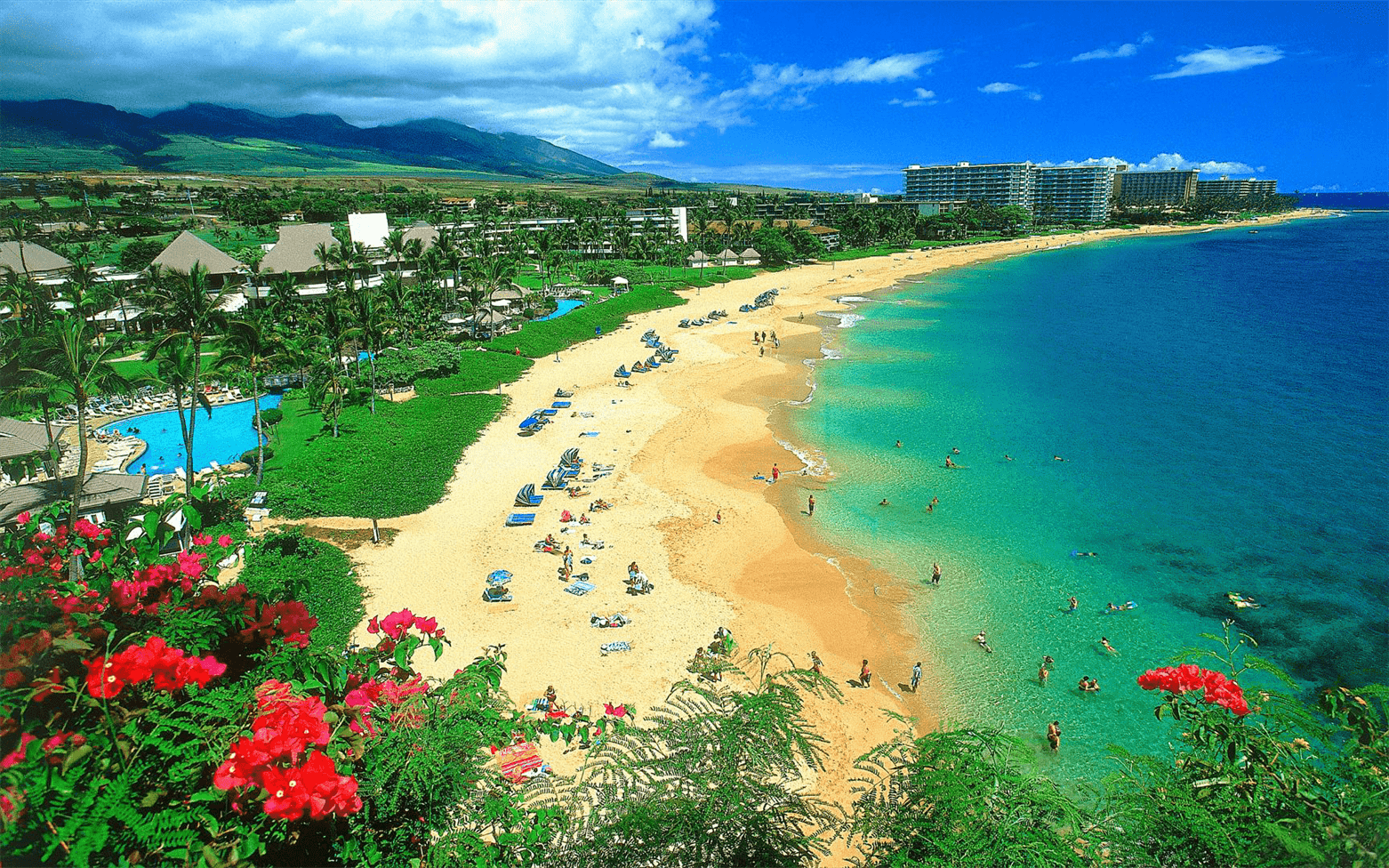 aloha paradise tours